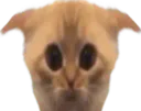 :Chatlimitetimide: