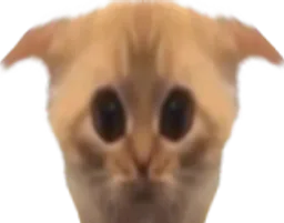 :Chatlimitetimide:
