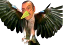 :Risi_bird: