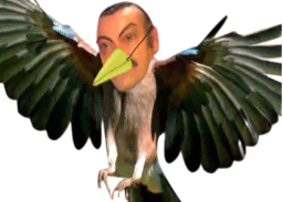 :Risi_bird: