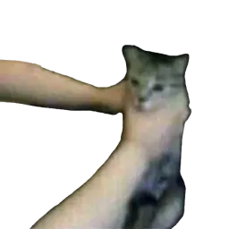 :sainte_tu_vas_la_boucler_oui: