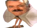 :oiseauselection: