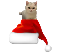 :Bonnet_deterDeChat: