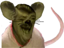 :risitas_rat_lol: