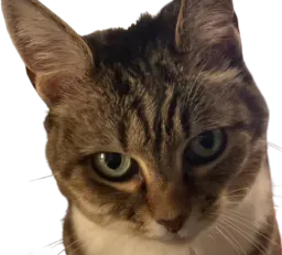 :Minnie: