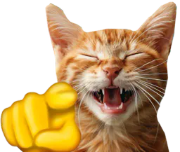 :chat_rit: