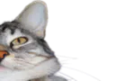 :CS2:
