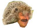 :Niturneau1: