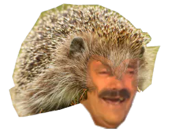 :Niturneau1: