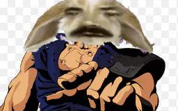 :lapinkenshiro: