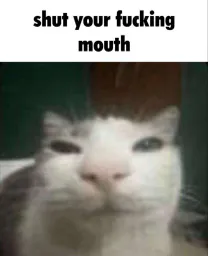 :stfu: