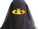 :ninjagoy: