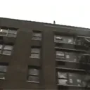 :Kermit-suicide: