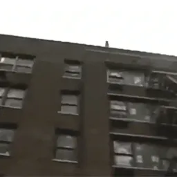 :Kermit-suicide: