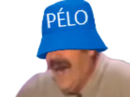 :pelo: