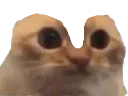 :Chatchelou: