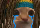 :Rastachat_pleure: