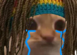:Rastachat_pleure:
