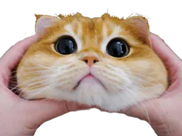 :chant_roux2: