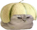 :chatbrushingmelon: