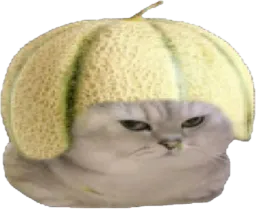:chatbrushingmelon: