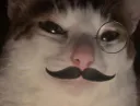 :moustichat: