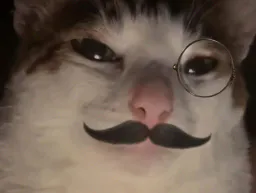 :moustichat: