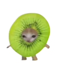 :Chat_kiwi: