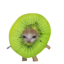 :Chat_kiwi: