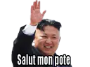 :leader_salut: