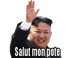:leader_salut: