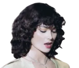 :shalom_harlow1: