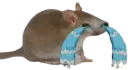:cry_friend: