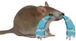 :cry_friend: