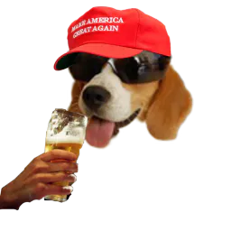 :chien_trumpiste: