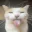 Photo de profil de meowsillymeow