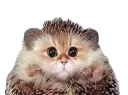 :charrison: