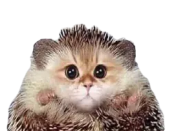 :charrison:
