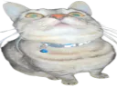 :CS_Trauma: