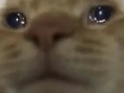 :Chat_sad: