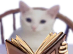 :Croquelove: