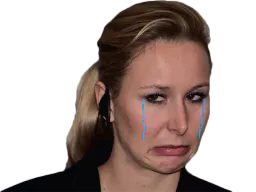 :mm_pleure: