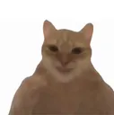 :chatangle: