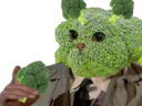 :sodium_brocoli: