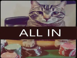 :PokerCat: