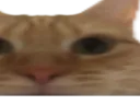 :chatmalcadre5: