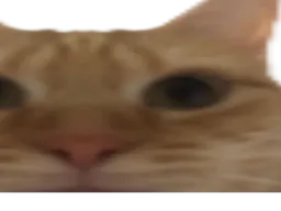 :chatmalcadre5: