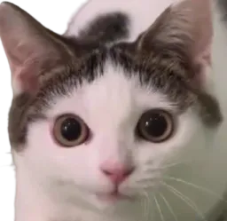 :alors_toi: