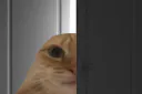 :porte_en_bois:
