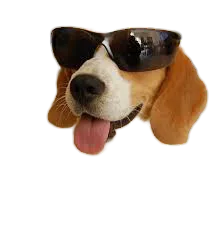 :Fatiguepotead: